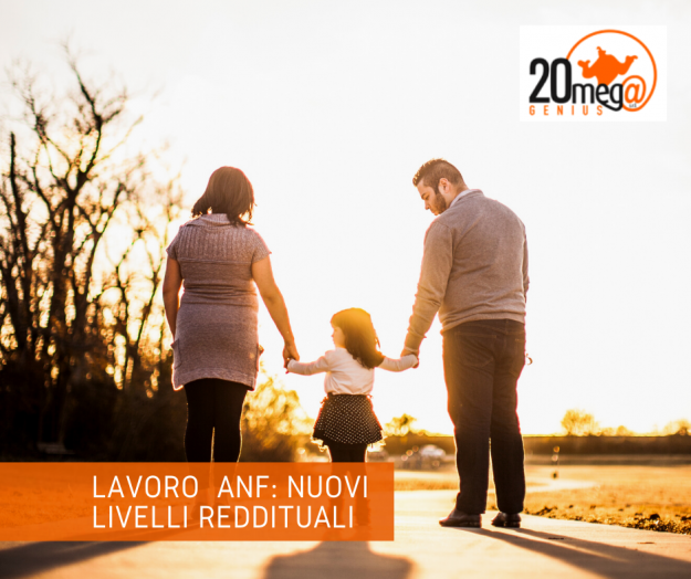 Nuovi livelli reddituali-Gallarate-Varese
